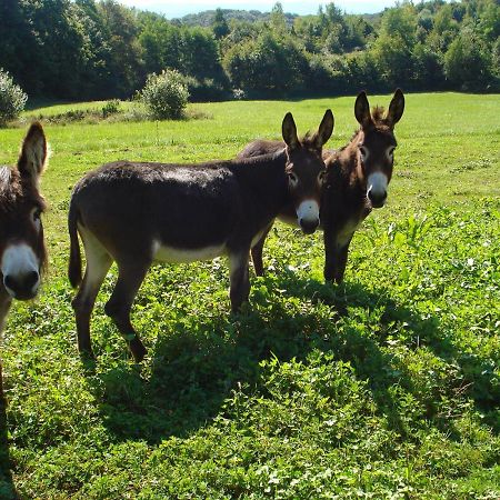 L'Oree Des Bois Dommartin-Les-Cuiseaux Kültér fotó